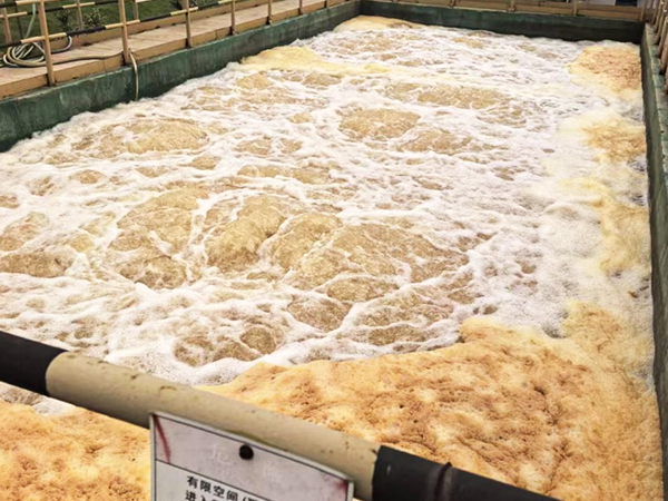 表面处理 电子废水零排放项目